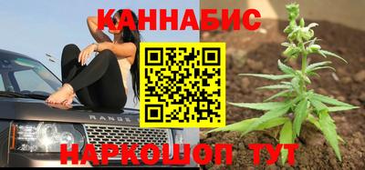 гашик Заводоуковск