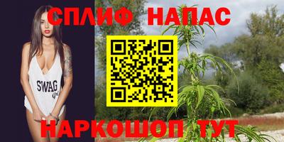 мдпв Жуковский
