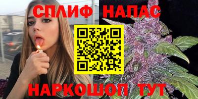 мдпв Жуковский